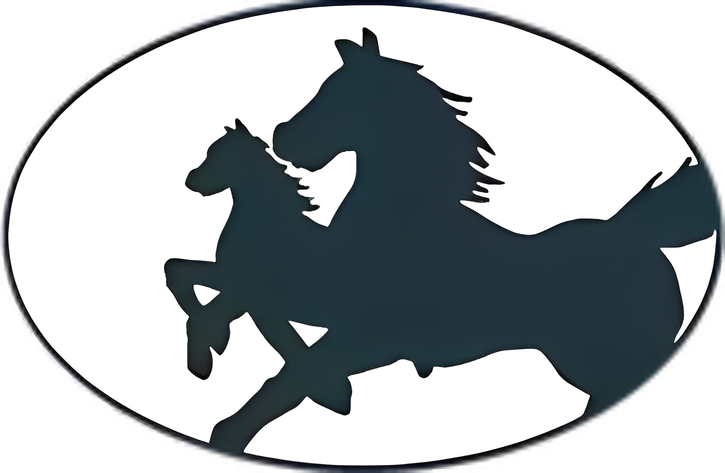 Pioneers Baccalaureate School logo